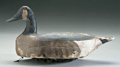 Canada goose decoy, roughly
