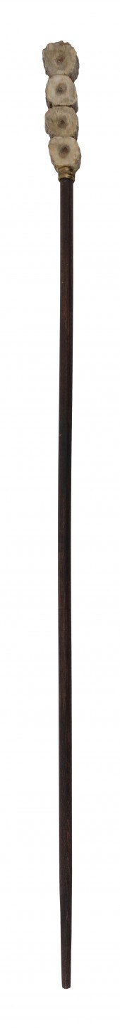 CANE WITH ANTLER HANDLE LENGTH