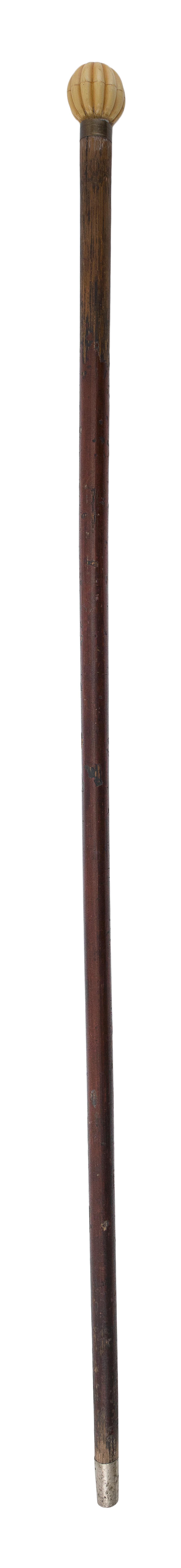 CANE WITH WHALEBONE HANDLE LENGTH