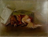 CANINE PORTRAIT (AMERICAN SCHO