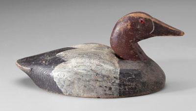 Canvasback decoy, glass eyes,