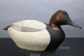 CANVASBACK DRAKE BY JAY POLITE