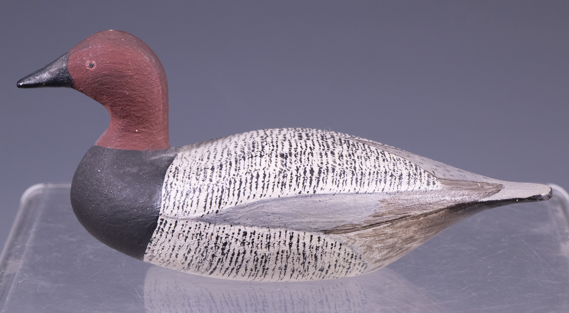 CANVASBACK DRAKE BY JOSEPH