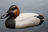 CANVASBACK DRAKE CARVED DECOY