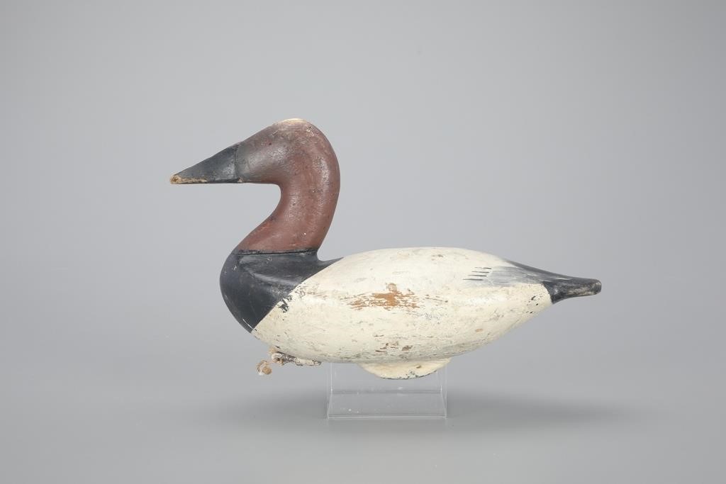 CANVASBACK DRAKECharles Nelson