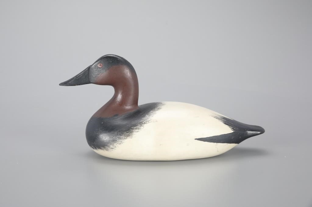 CANVASBACK DRAKE"Dick" Allen