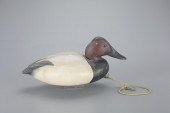 CANVASBACK DRAKEDonal C. O'Bri