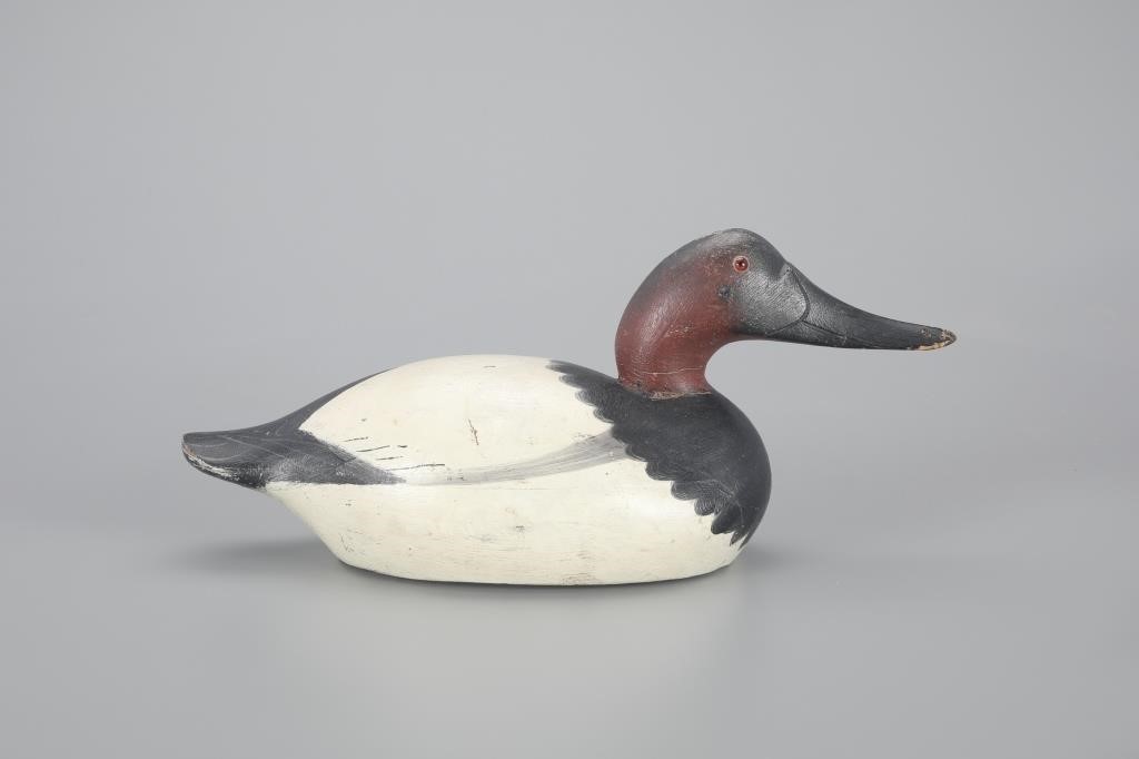 CANVASBACK DRAKEMason Decoy Factory