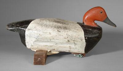 Canvasback duck decoy, heavy