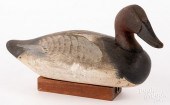 CANVASBACK DUCK DECOY, MID 20T