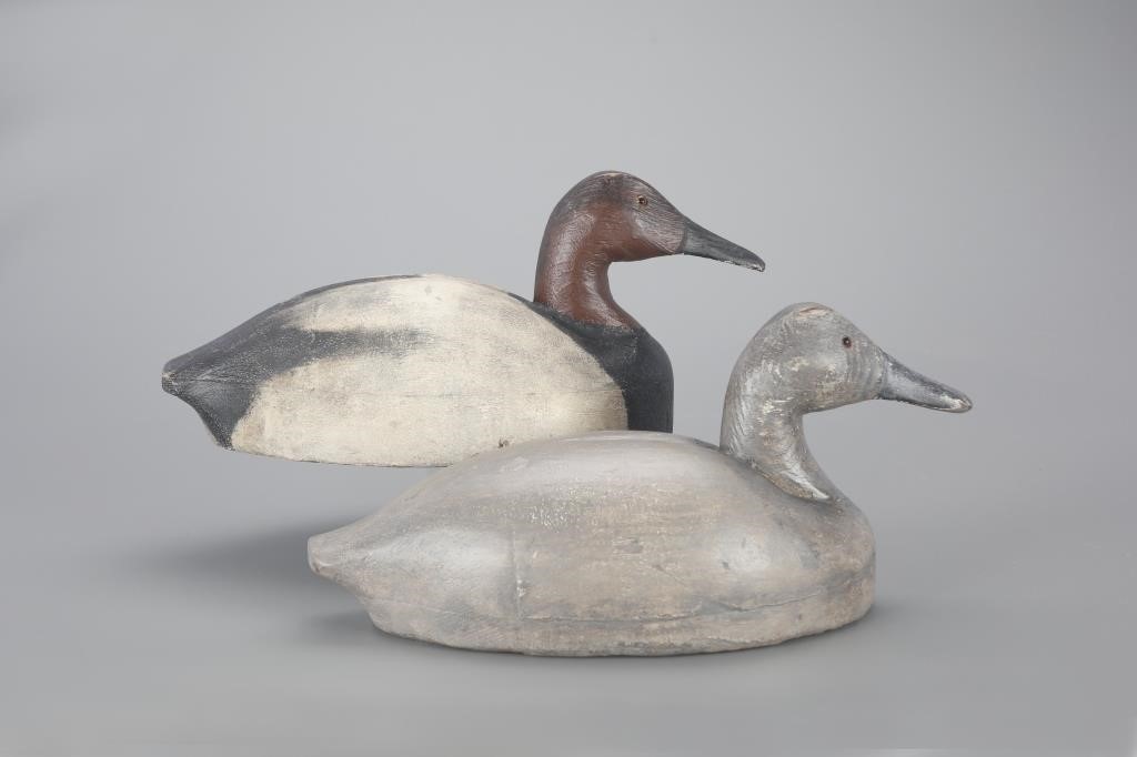 CANVASBACK PAIRLeo Tocchini