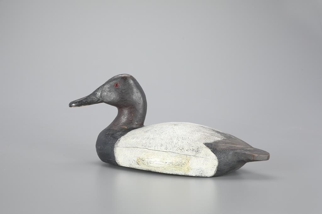 CANVASBACKThomas Schroeder