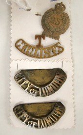 Cap Badge & 3 Collars for mili