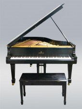 CAPO D'ASTRO STEINWAY PIANO, L