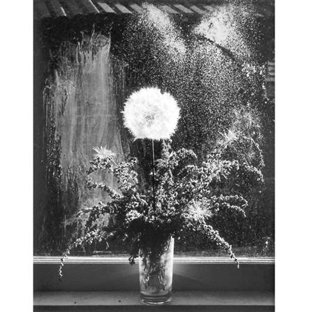 CAPONIGRO, PAUL (b. 1932) [Floral].