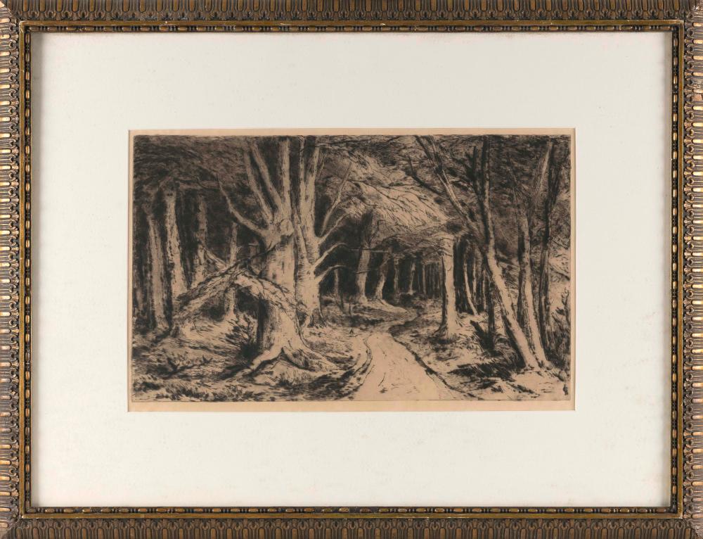 CAREL NICOLAAS STORM VAN