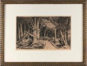 CAREL NICOLAAS STORM VAN GRAVE