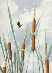 CAREY CLOUD (1899-1984) WATERC