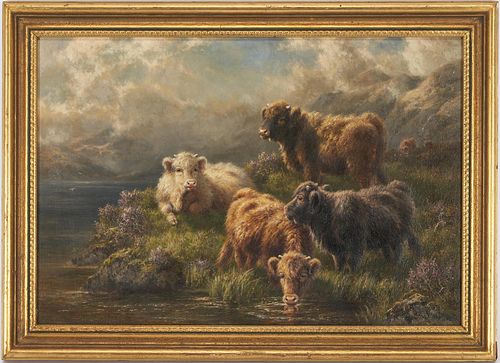 CARI E. WATSON O/C HIGHLAND CALVES,
