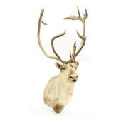 CARIBOU SHOULDER WALL MOUNT TA