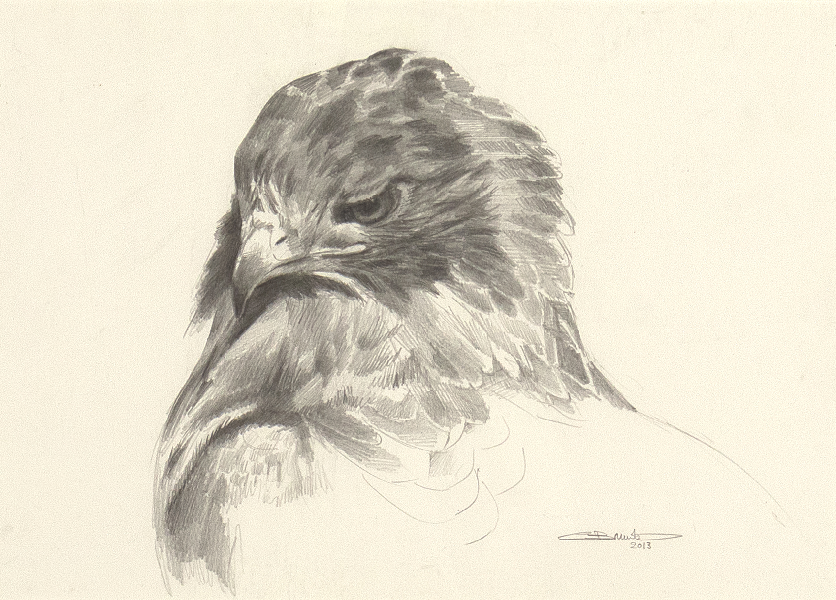 CARL BRENDERS (1937- ), REDTAIL