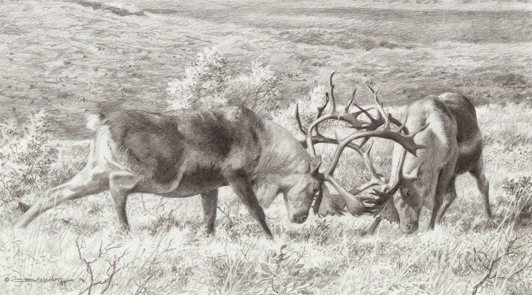 CARL BRENDERS (1937- ), TUNDRA