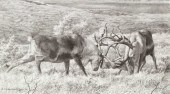 CARL BRENDERS (1937- ), TUNDRA