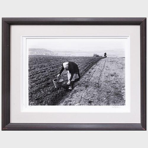 CARL MYDANS (1907-2004): POTATO