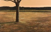 CARL RICE EMBREY (AMERICAN/TEX