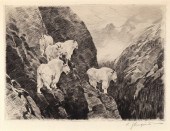CARL RUNGIUS (1869-1959), GOAT