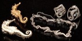 Carl Schon silver seahorse mot