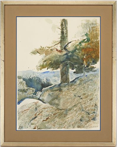 CARL SUBLETT SMOKY MOUNTAIN
