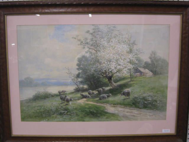 Carl Weber Watercolor sheep along