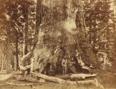 CARLETON E. WATKINS (AMERICAN