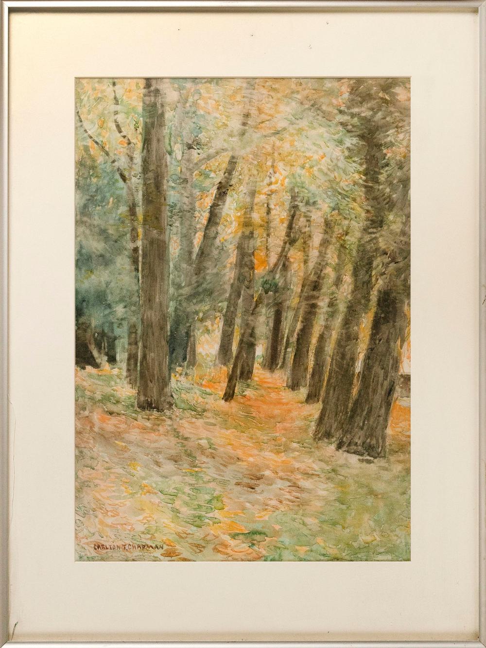 CARLTON THEODORE CHAPMAN (NEW