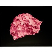 CAROL FEUERMAN, SILKSCREEN PRI