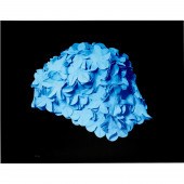 CAROL FEUERMAN, SILKSCREEN PRI