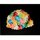 CAROL FEUERMAN, SILKSCREEN PRI