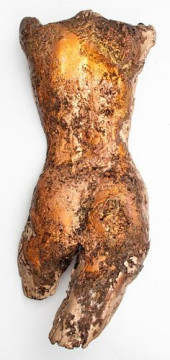 CAROLE FEUERMAN NUDE BACK BRON