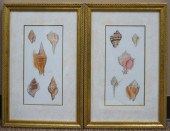CAROLINE CUTIONA HATTENSTEIN,
