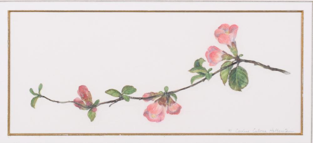 CAROLINE CUTRONA HOTTENSTEIN,