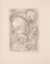 CAROLINE WOGAN DURIEUX (AMERIC