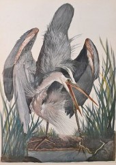 CARROLL TYSON (1877 - 1956), G