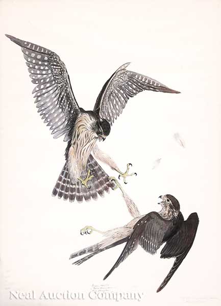 Carroll Tyson (American