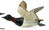 Carved and painted Canvasback