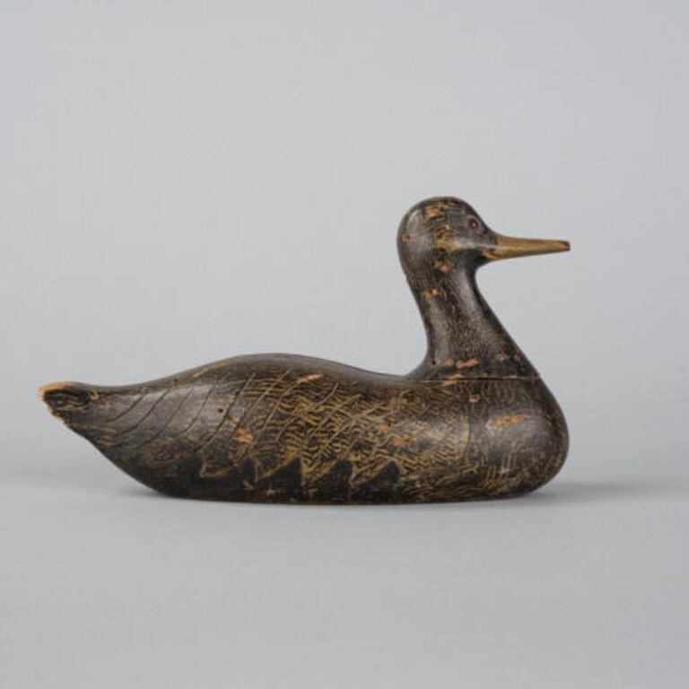 CARVED BLACK DUCKA Black Duck decoy