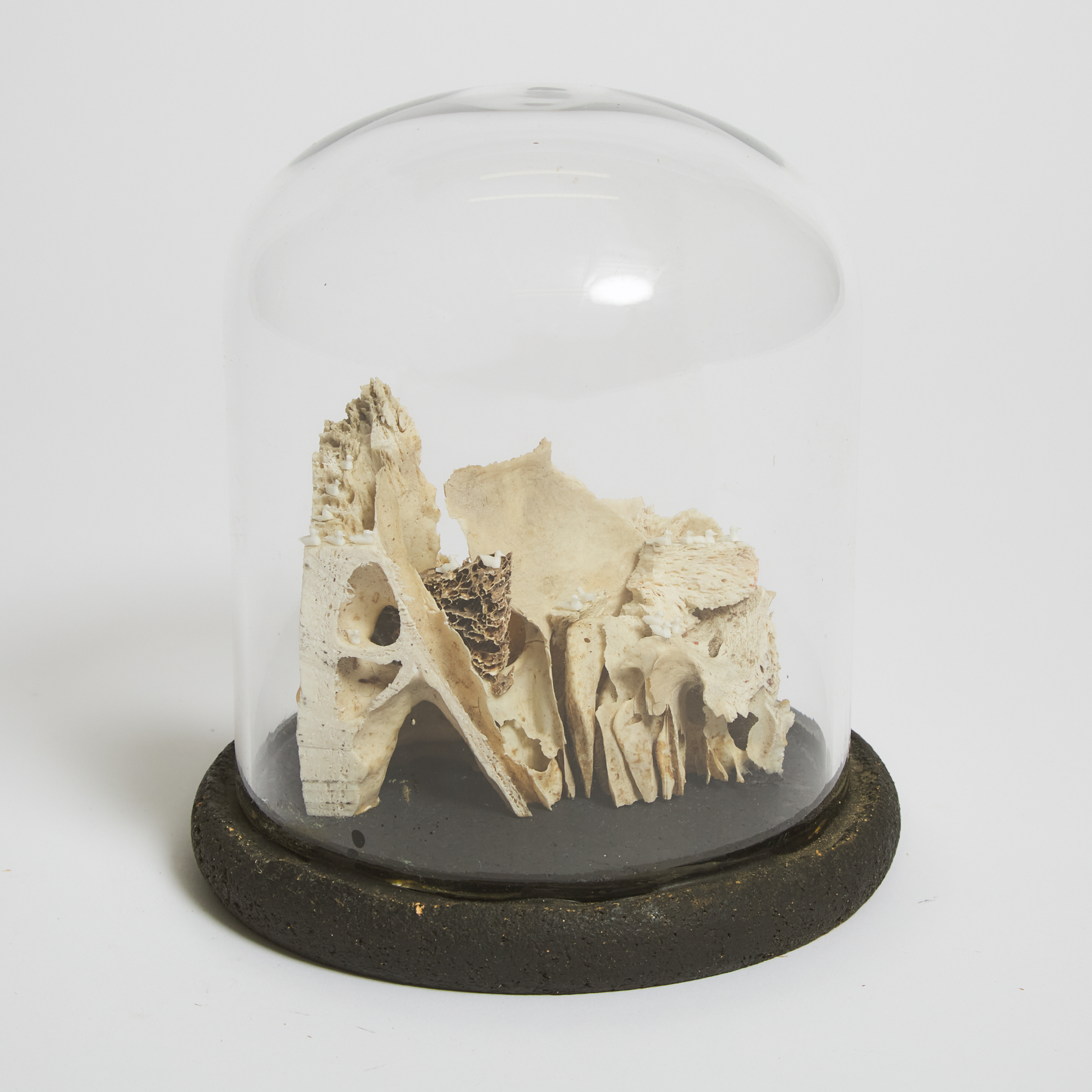 Carved Bone Model of Gulls at
