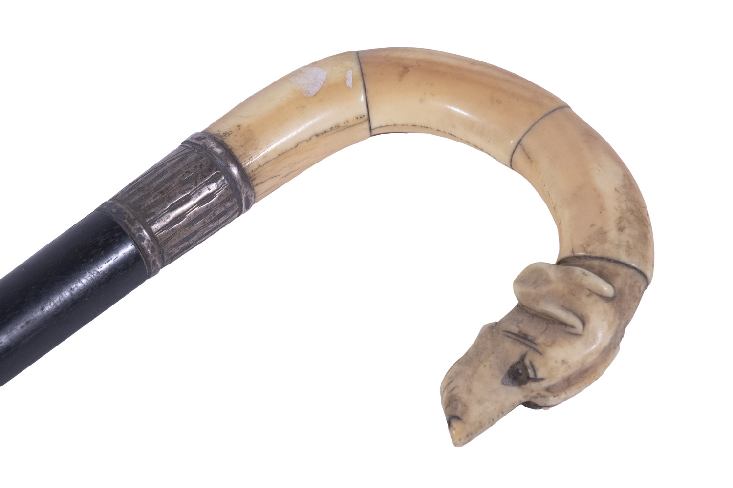 CARVED DOG HEAD IVORY TOP CANE