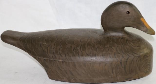 CARVED EIDER HEN WOODEN DECOY.