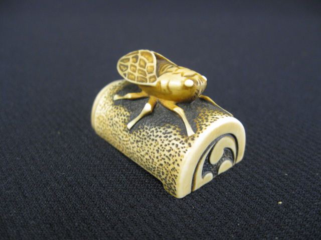 Carved Ivory Netsuke of an Insect